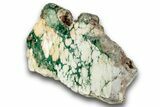 Polished Green Magneprase Section - Western Australia #240127-1